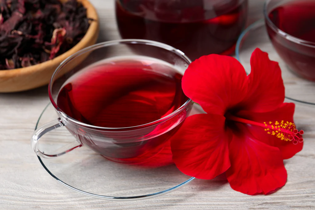 Hibiscus Flower Tea Karnivor